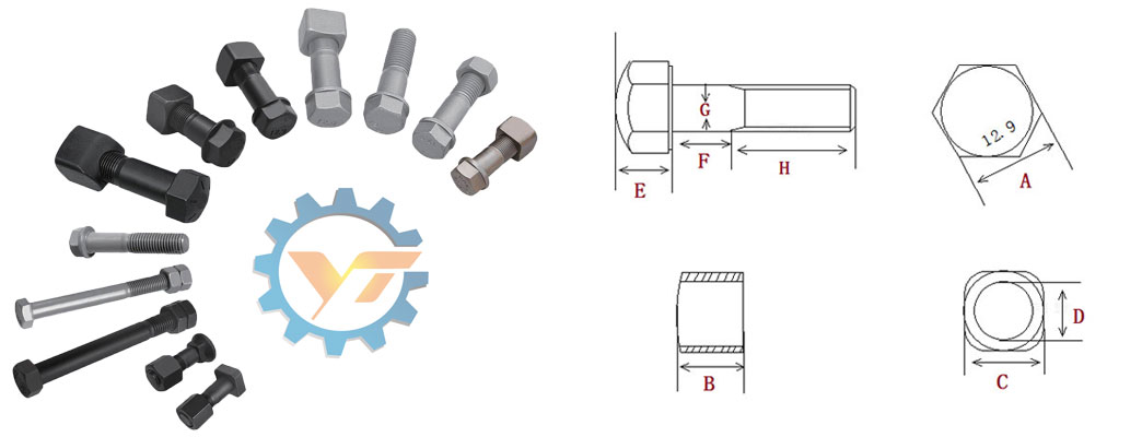 Bolt&Nut Dimension